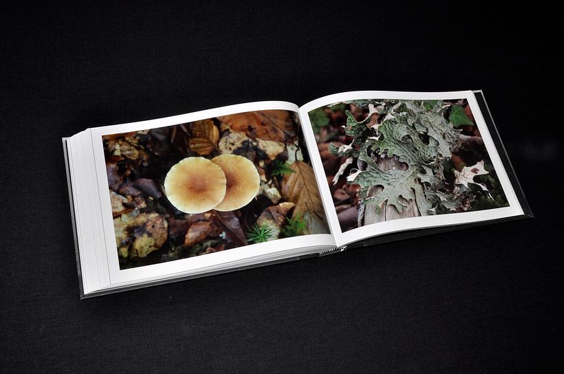 Cien días de soledad - Diseño editorial