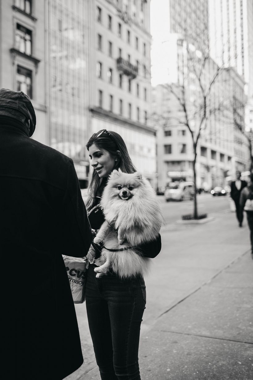 STREET STYLE NEW YORK 1