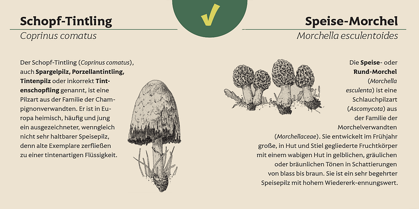 Tipografía Harri Text 6