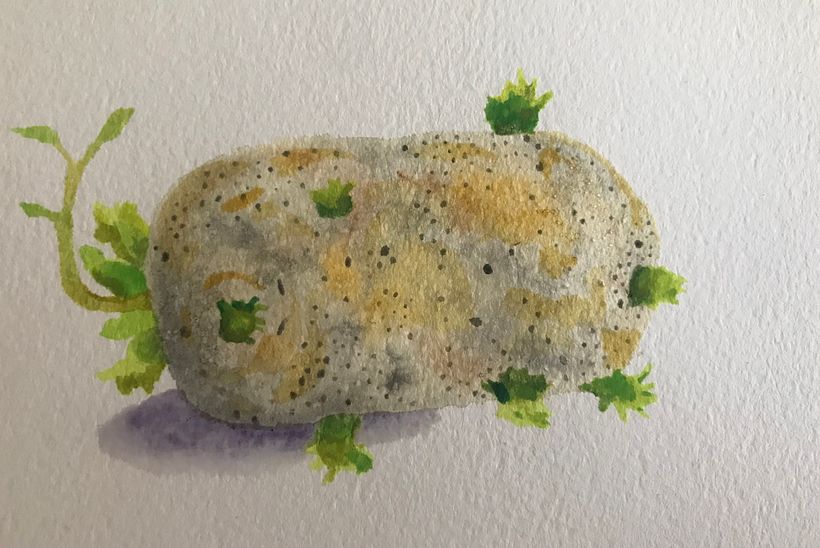 el kartoflo - My project in Modern Watercolor Techniques course 0