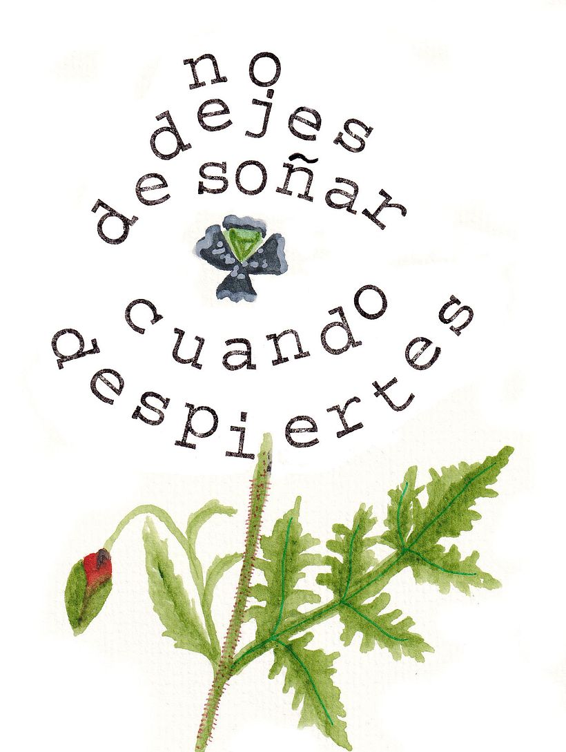 Serie Díselo con flores 1
