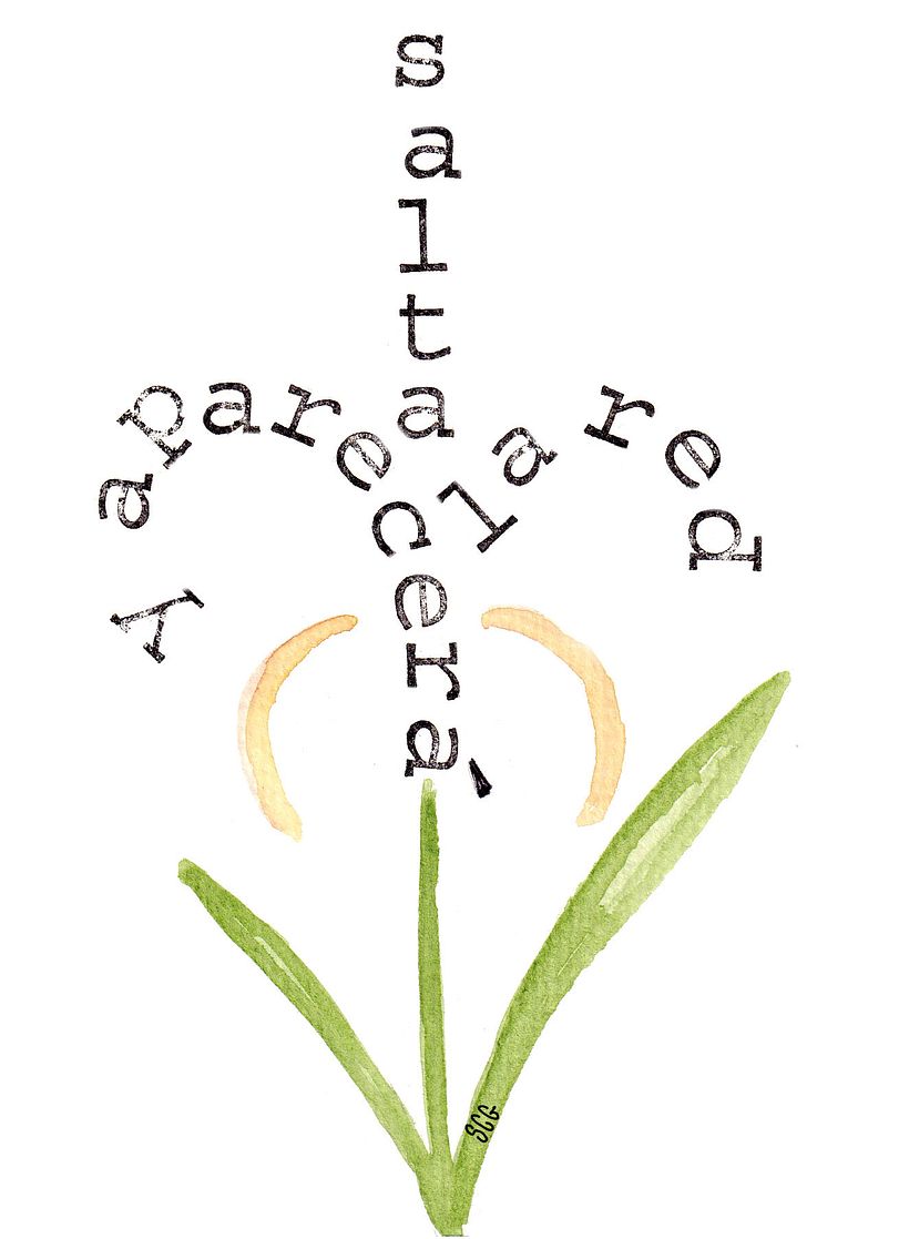 Serie Díselo con flores 5