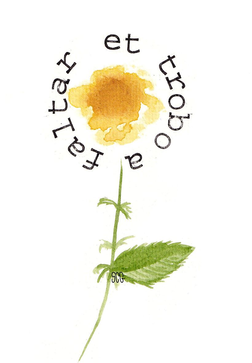Serie Díselo con flores 6