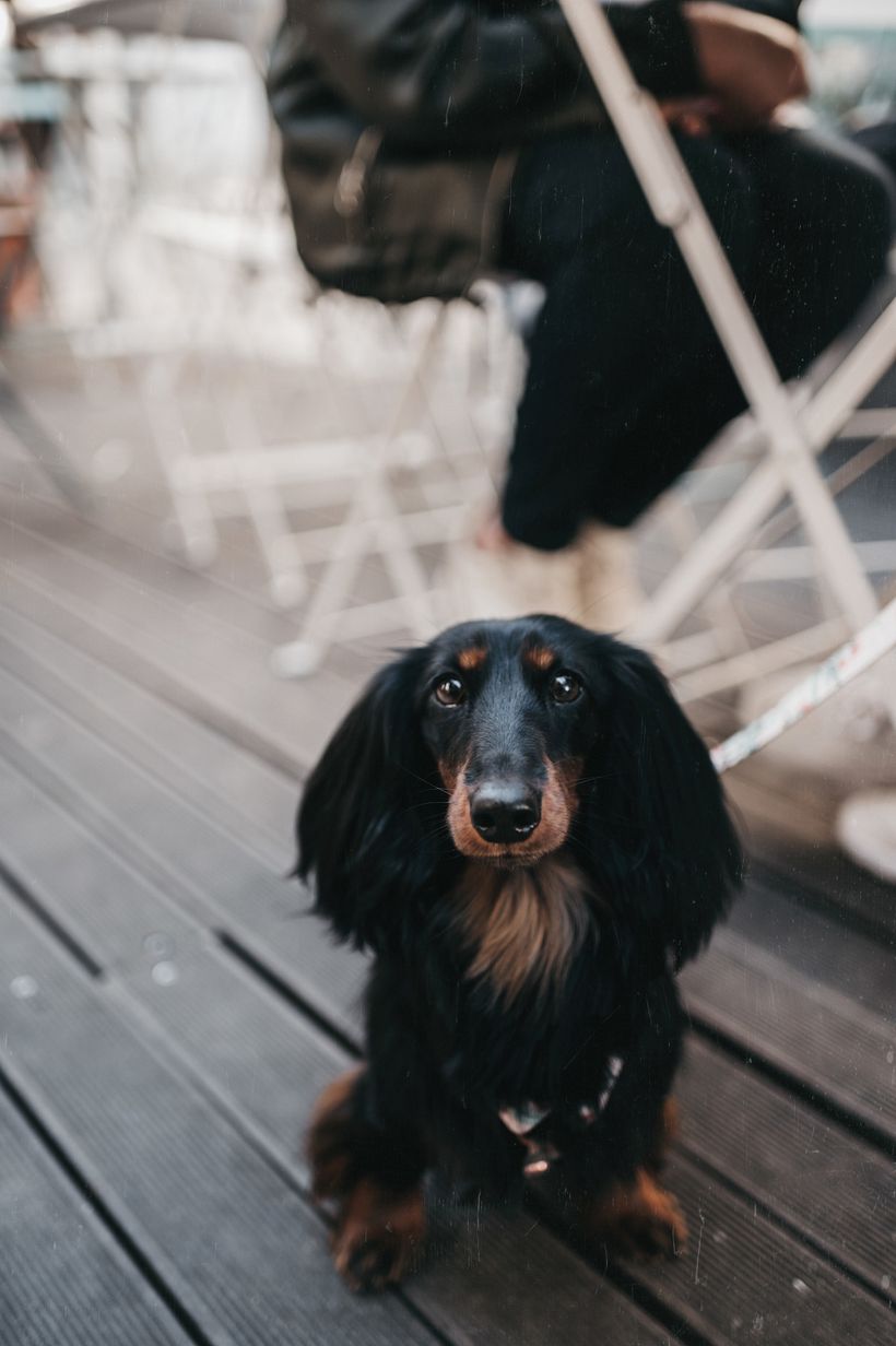 STREET STYLE LISBOA 1