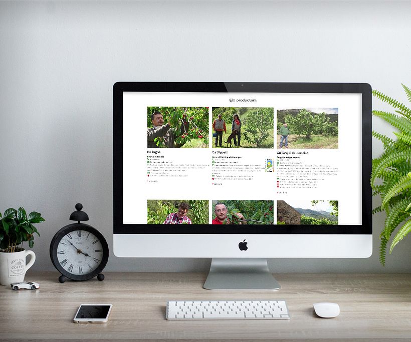 Web Festa de la Cirera de Paüls 0