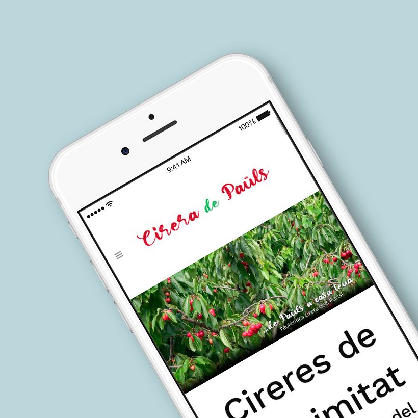 Web Festa de la Cirera de Paüls 1