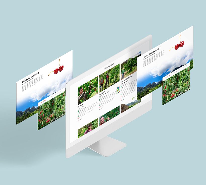 Web Festa de la Cirera de Paüls 2