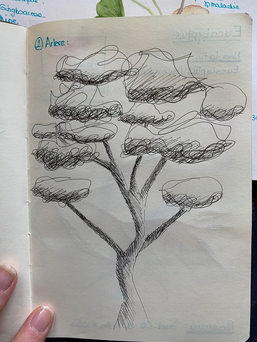 My project in Botanical Watercolor Sketchbook course 1