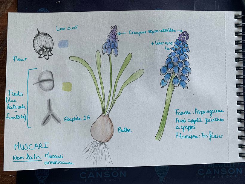 My project in Botanical Watercolor Sketchbook course 6