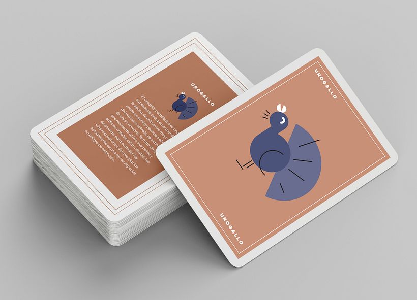 Fauna asturiana - Design