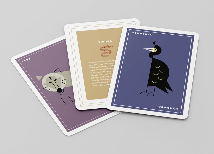Fauna asturiana - Design