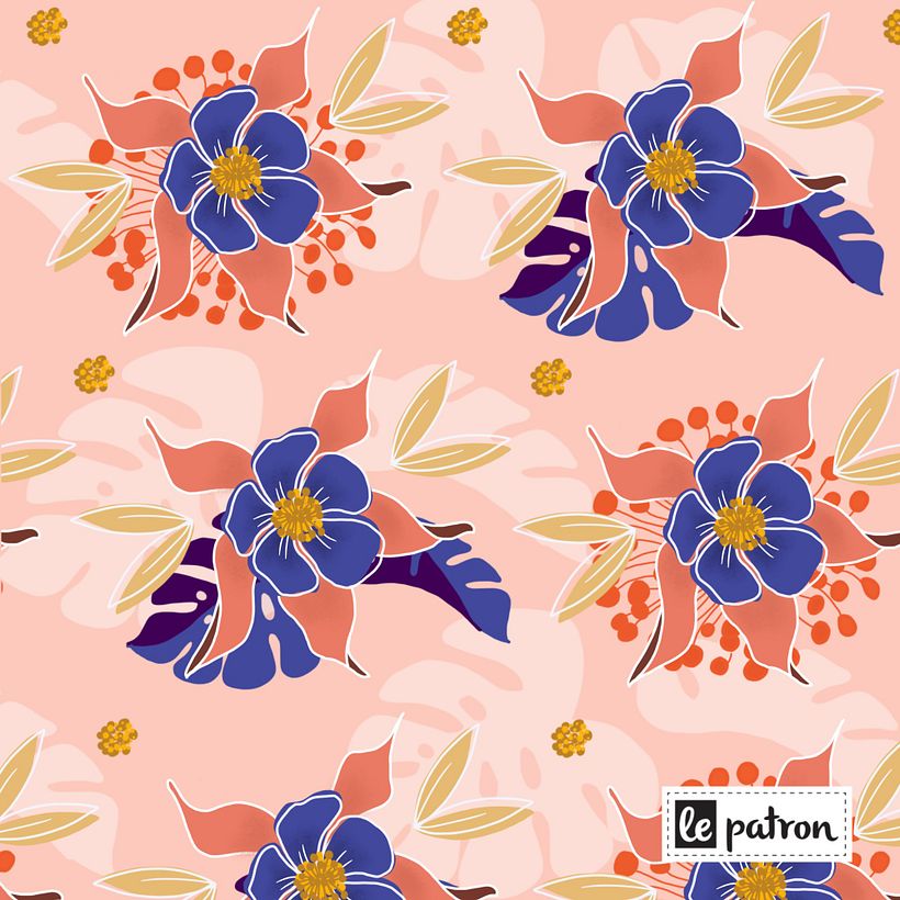 Mi Proyecto del curso: Creación de marca basada en tus propios estampados 0