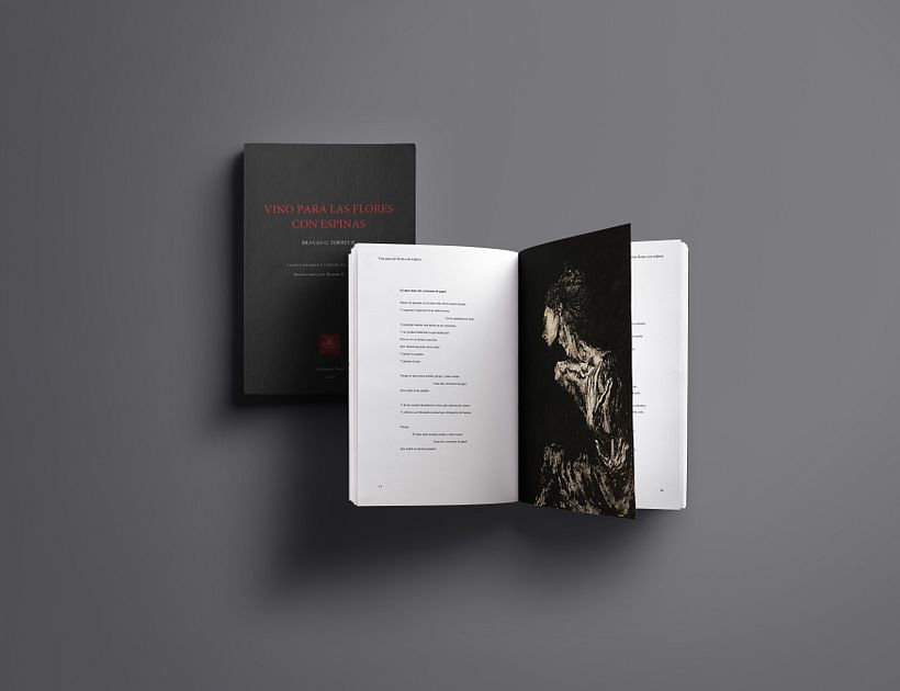 Poemario ilustrado -1