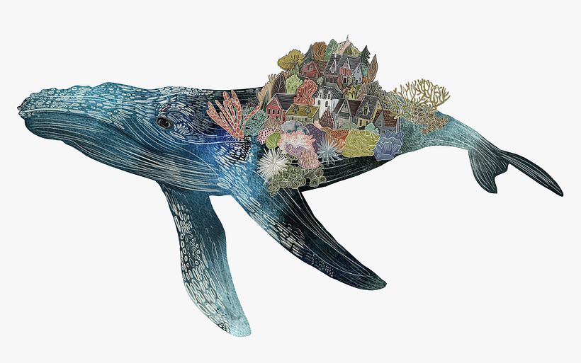 Whale - Ilustración tradicional