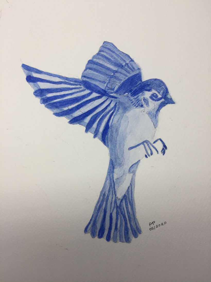 Mi práctica del pájaro