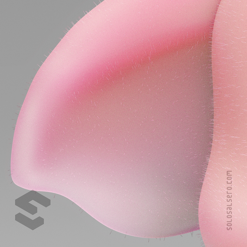 Little Oink 4