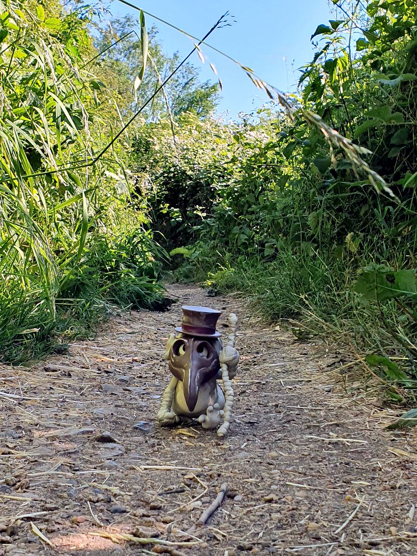 Sir Lancelot D. Boyle, Plague Doctor walking the country looking for patients