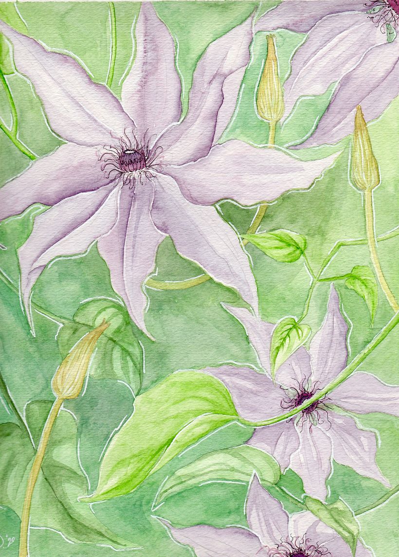 My project in Negative Watercolor Painting for Botanical Illustration course 0
