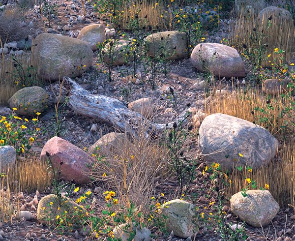 CASA EN LA MONTAÑA 3