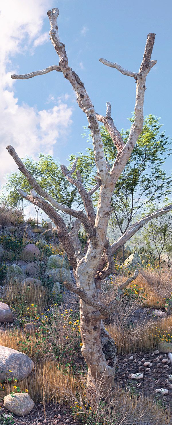 CASA EN LA MONTAÑA 4