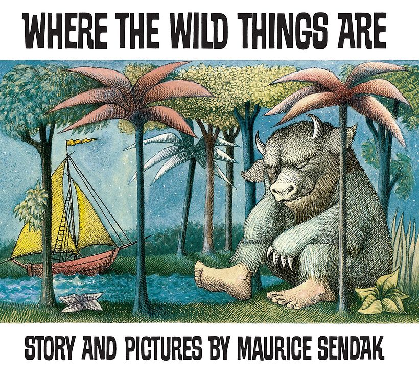 A Guide to Children’s Book Categories 5