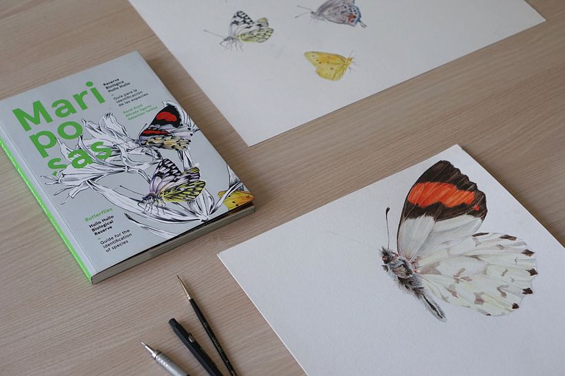Las portadillas en cambio se realizaron como pinturas a mayor formato (del tamaño de la página) en una combinación de gouache