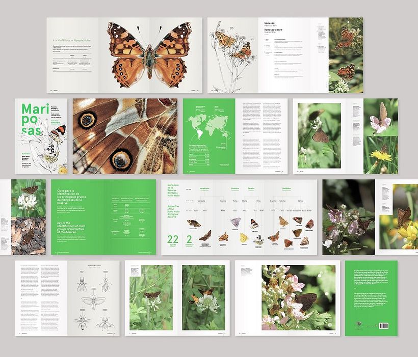 Libro Mariposas de la Reserva Biológica Huilo Huilo 0