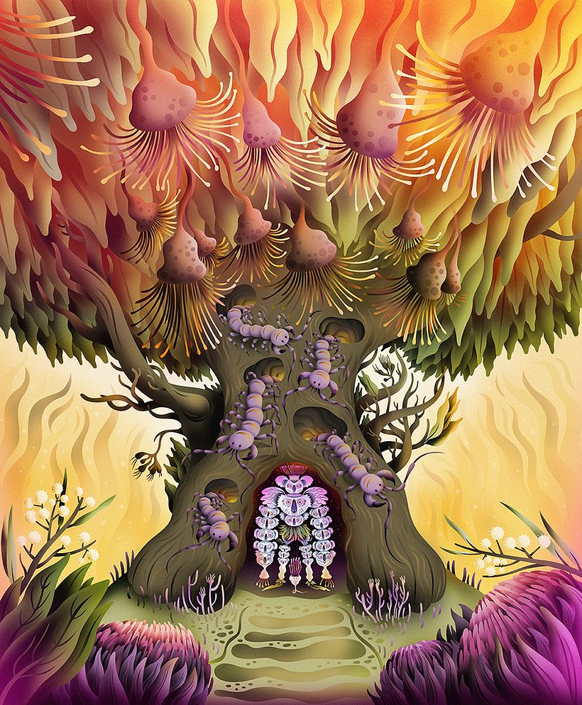 Koala Spirit Haven