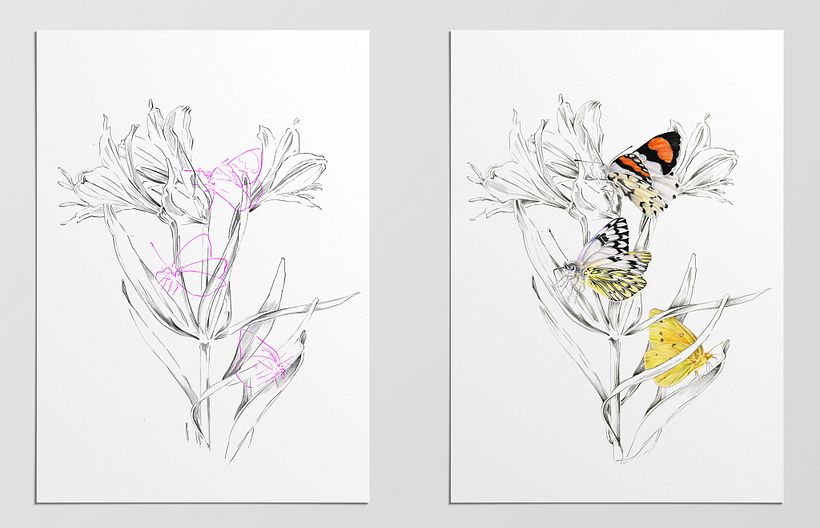 Las ilustraciones muestran planos de acercamiento, interacción con especies de flora local e información técnica sobre anatom