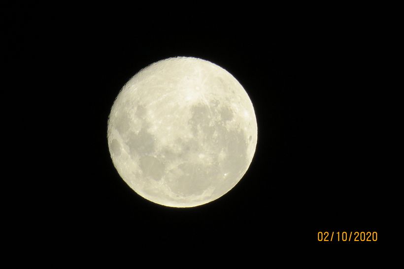 nocturnas 0
