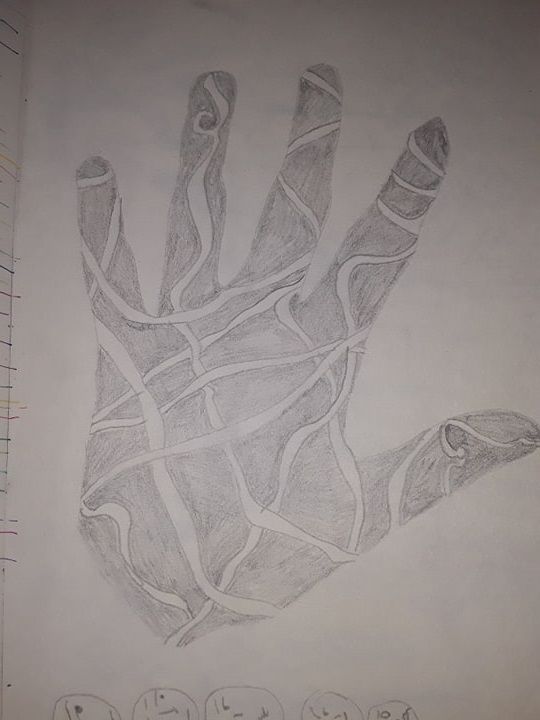 Mi Proyecto del curso: Dibujo para principiantes nivel -1 0