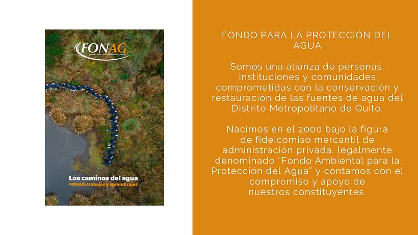 Fonag 1