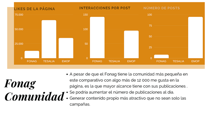 Fonag 3