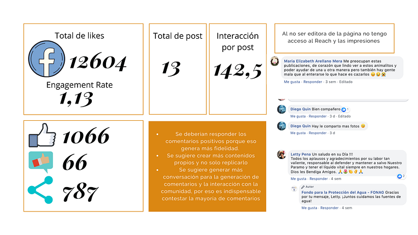 Fonag 4