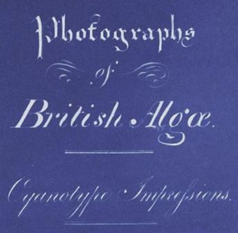 Photographs of British Algae: Cyanotype Impressions, Anna Atkins