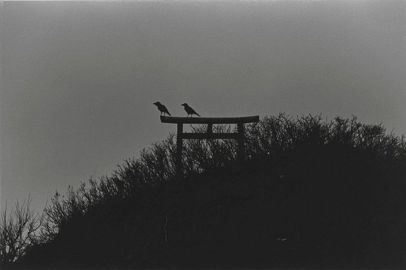 Karasu - The Solitude of Ravens, Masahisa Fukase