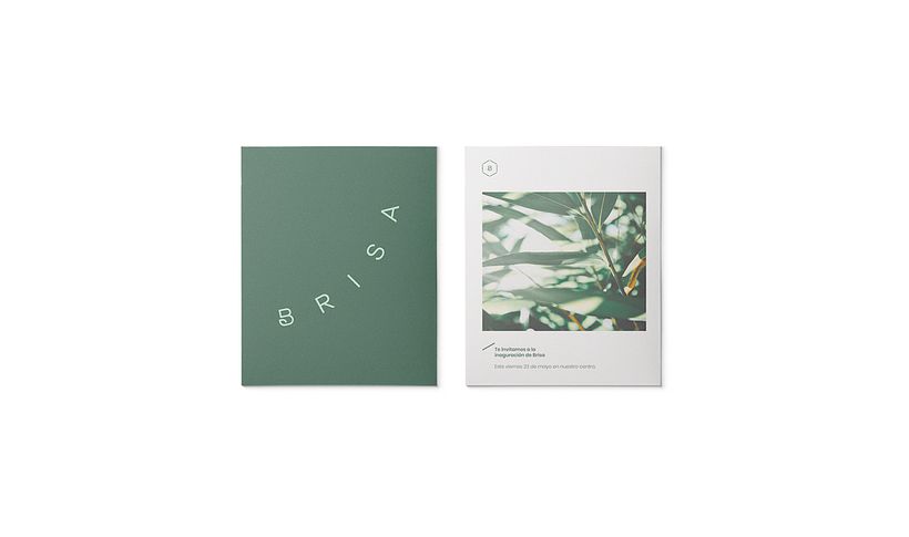 Brisa. Centro de estética natural 4