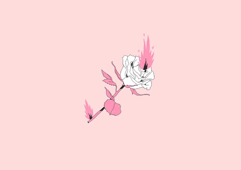 365 FUEGOS 4