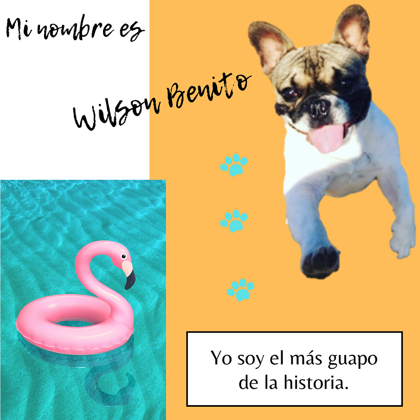Ayúdame a compartir · x · en 8 imágenes 3