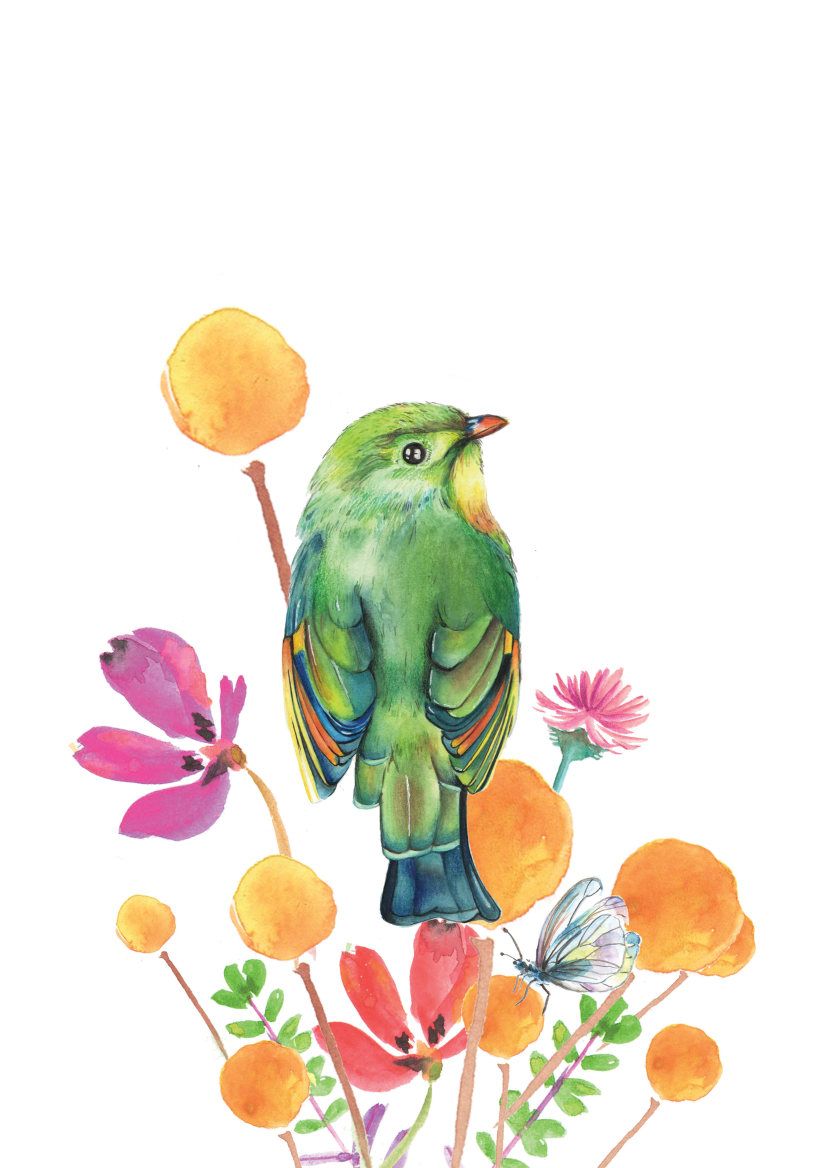 Proyecto final / Jocelin Flores