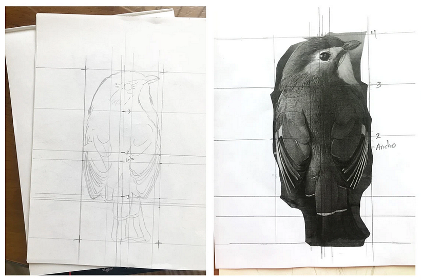 Encaje y proporción / Jocelin Flores