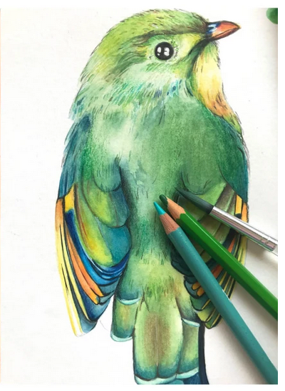 Aplicación de detalles / Jocelin Flores