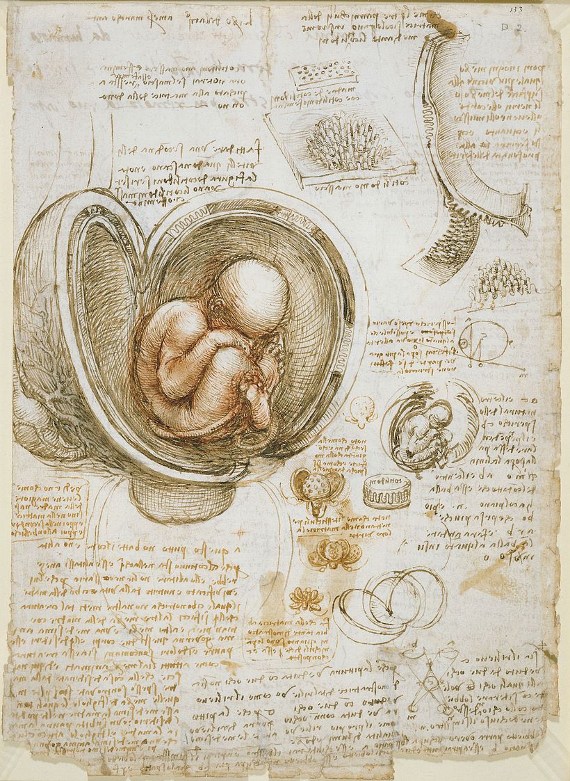Leonardo Da Vinci