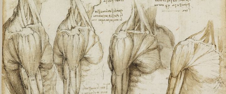 Leonardo Da Vinci