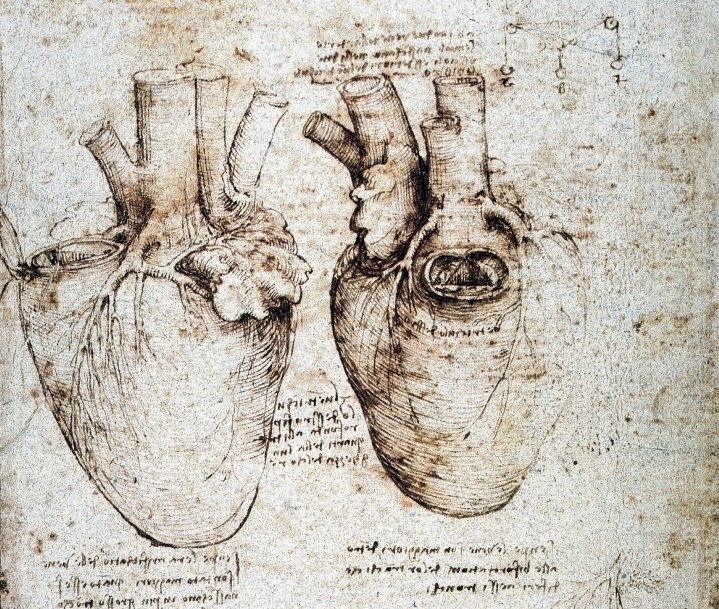 Leonardo Da Vinci