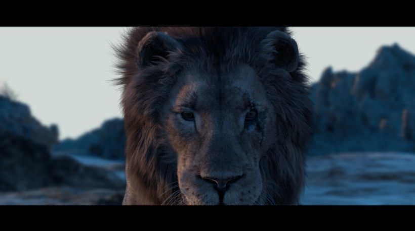 Lion 2