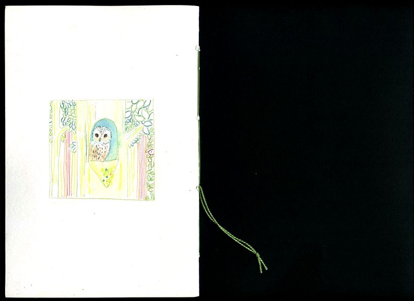 Jorinde & Joringel Final Project 7