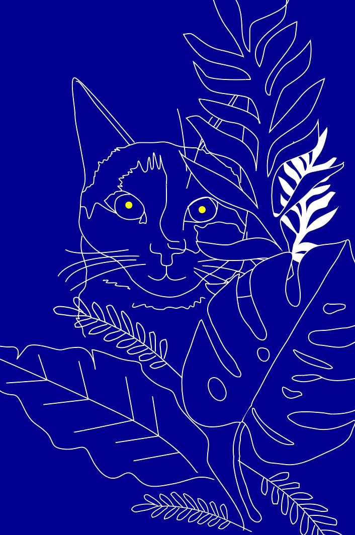 ElectroCat 9