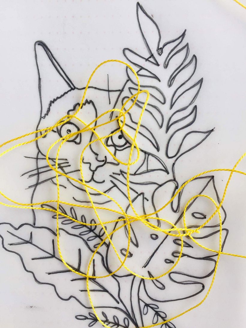 ElectroCat 11