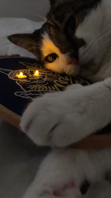 ElectroCat 14